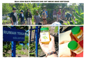 SELAI LIDAH BUAYA PRODUKSI DARI KWT MEKAR ABADI KERTODADI